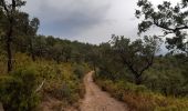 Tocht Stappen Biure - bourse.  castel de mont roigt  /  retour par ma vallée  - Photo 17