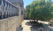 Tour Wandern Carcassonne - Carcassonne Cité  - Photo 1