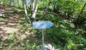 Trail On foot Roncola - Sentiero dell'Acqua - Photo 3