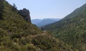 Trail Walking Cornillon-sur-l'Oule - rando La Motte Chalancon  - Photo 4