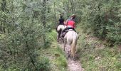 Trail Horseback riding Valle de Hecho - Siresa - Anso  - Photo 14