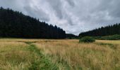 Tocht Stappen Monschau - rando kalterherberg-rocher bieley 11/08/2021 - Photo 7