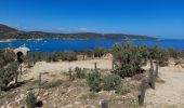 Excursión Senderismo La Croix-Valmer - TOULON / CAVALAIRE SUR MER: CIRCUIT DE GIGARO - Photo 13