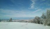 Excursión Raquetas de nieve Pontarlier - Pontarlier Gounfay Grand Taureau 2021-01-19 CAF - Photo 8