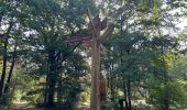 Percorso Marcia Brain-sur-Allonnes - BALADE BRUN SUR ALLONE DANS LA FORÃT  - Photo 9