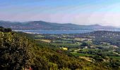 Percorso Mountainbike Ramatuelle - VTT Mataranne - Paillas - Gassin - St Tropez - Photo 1