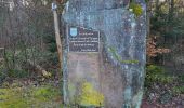 Tocht Stappen Lutzelhouse - Lutzelhouse - place des musiciens - sculptures - grotte du loup - cascade de Soulzbach - Porte de pierre - Photo 17