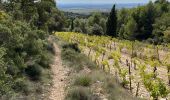 Tour Wandern Cairanne - PF-Cairanne - Sentier Magnum - Photo 14