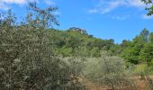 Trail Walking Nans-les-Pins - De Nans les pins vers les sources de l'Huveaune - Photo 1