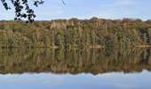 Trail Walking Citers - 17-10-21 etang de la velle - Photo 1