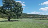 Tour Zu Fuß Kaiserpfalz - Roßleben-Arche-Nebra - Photo 5