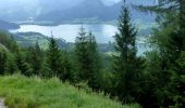 Tocht Te voet St. Wolfgang im Salzkammergut - Auerriesenweg - Photo 8