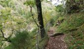 Tour Wandern Bort-les-Orgues - Chute de la Saule - Photo 18