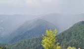 Randonnée Marche Stosswihr - Honeck depuis Gaschney - Photo 1