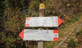 Tour Zu Fuß Väris - Sentiero 7/307: Campo dei Fiori - Punta di Mezzo - Photo 6
