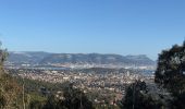 Tour Wandern La Seyne-sur-Mer - Notre Dame du Mai - Cap Sicié - Photo 8