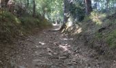 Randonnée Marche Ménil-Hubert-sur-Orne - De Rouvroy aux Roches d'Oetre par le sentier des Méandres  - Photo 9