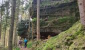 Trail Walking Lutzelbourg - Sentier des roches de Lutzelbourg - Photo 18