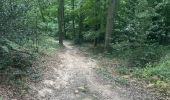 Trail Walking Bruyères-le-Châtel - R2 a Roche Turpin - Photo 8