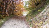 Tour Wandern Omblèze - Plateau d'Ambel (le tour) - Photo 19