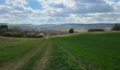 Trail Walking Crugny - Crugny du 30/03/2025 - Photo 9