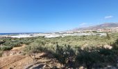 Excursión Senderismo Κοινότητα Ιεράπετρας - lac ierapetra - Photo 19