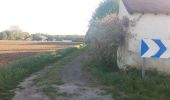 Trail Walking Seur - seur.cande sur beuvron.chailles.seur - Photo 2