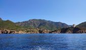 Randonnée Bateau à moteur Ota - Calanques par la mer Scandola Girolata - Photo 1