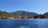 Tocht Motorboot Ota - Calanques par la mer Scandola Girolata - Photo 1