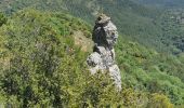 Excursión Senderismo La Roquebrussanne - La Roque La loube Col de la barraque les orris - Photo 5