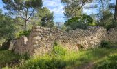Tour Wandern Ollioules - Châteauvallon - Ollioules - Photo 1