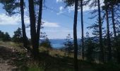 Trail Walking Puy-Saint-Eusèbe - testt - Photo 6