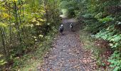 Randonnée Marche Martelange - Dans l’intimité d’une forêt  - Photo 5