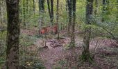 Trail On foot Wiehl - Rund um Bielstein - Photo 8