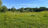 Tocht Stappen Eigenbrakel - BE-Braine-l'Alleud - BSI - Promenade du Seigneur Isaac - Photo 17