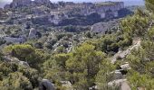 Excursión Senderismo Les Baux-de-Provence - autour des baux - Photo 10