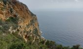 Trail Walking Cassis - les crêtes du cap Canaille, du pas de la colle à la  grotte des émigrés  - Photo 7