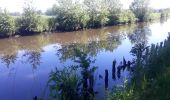 Tour Wandern Lokeren - Anders Reizen 2021 Eksaarde - Moervaart wandeling - Photo 20