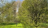 Randonnée Marche Villers-la-Ville - Promenade de Berines  - Photo 4