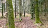 Trail On foot Aidlingen - Lerchenberg - Dachteler Linde - Photo 6