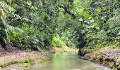 Tour Wandern Petit-Bourg - Guadeloupe - Saut de la Lézarde - Photo 3