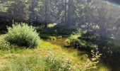 Trail Walking Verchaix - Plateau de Loex Myrtilles  - Photo 2