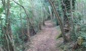 Trail Walking Valorbiquet - La rando de Rollon - Photo 7