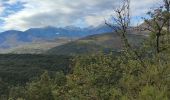 Excursión Senderismo Prunet-et-Belpuig - BOULETERNAIRE TRINITE - Photo 5