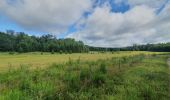 Trail Walking Habay - rando moulin d anlier 31/07/2021 - Photo 7