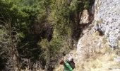 Trail Walking Choranche - Presles grotte de Gournier et de balme rousse - Photo 2