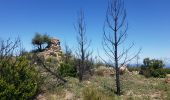 Tocht Stappen La Garde-Freinet - Fort Freinet et les roches blanches - Photo 16