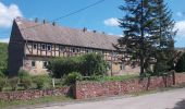 Randonnée A pied Wettin-Löbejün - RundwegTannengrund Teufelsgrund Rothenburg - Photo 8