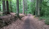 Randonnée Marche Esneux - parc du Mary. targnon . parc du Mary - Photo 1