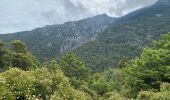 Tour Wandern Manso - Corse 2023: Tuvarelli - Sierrera - Photo 5